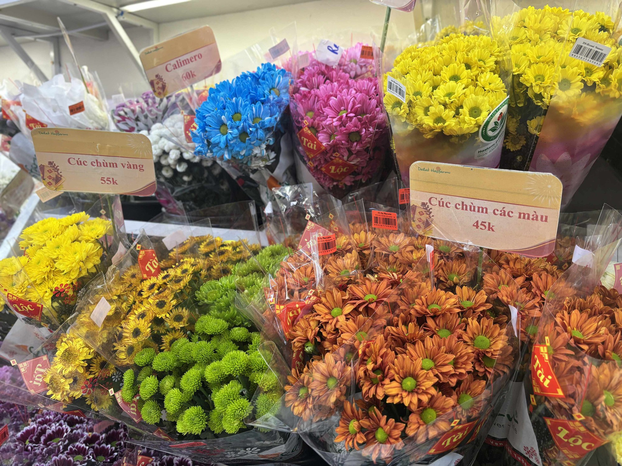 Cập nhật giá cả hoa ngày 28 Tết: Tuyết mai rẻ bất ngờ, cúc đẹp “đỉnh cao”, mộc lan trở thành hot trend - Ảnh 10