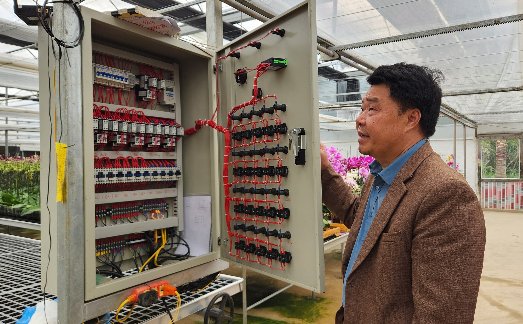 Đầu tư 10 tỉ đồng trồng loài hoa "quý tộc" bán cho người dân chơi Tết - Ảnh 4