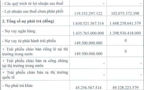 Doanh nghiệp của Chủ tịch Trương Đình Lam báo lãi ròng giảm sâu trong năm 2025 - Ảnh 2