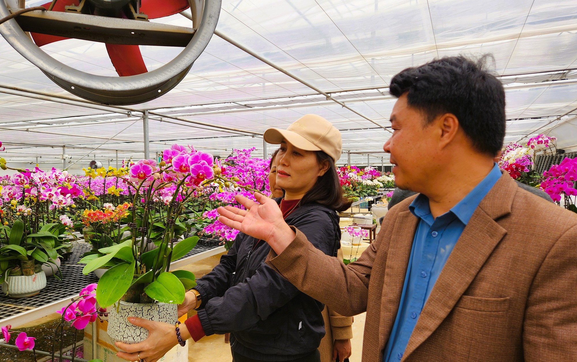 Đầu tư 10 tỉ đồng trồng loài hoa "quý tộc" bán cho người dân chơi Tết - Ảnh 10