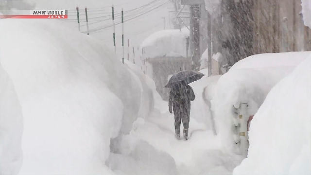 Nhiều người bị tuyết vùi lấp tử vong tại Nhật Bản - Ảnh 2