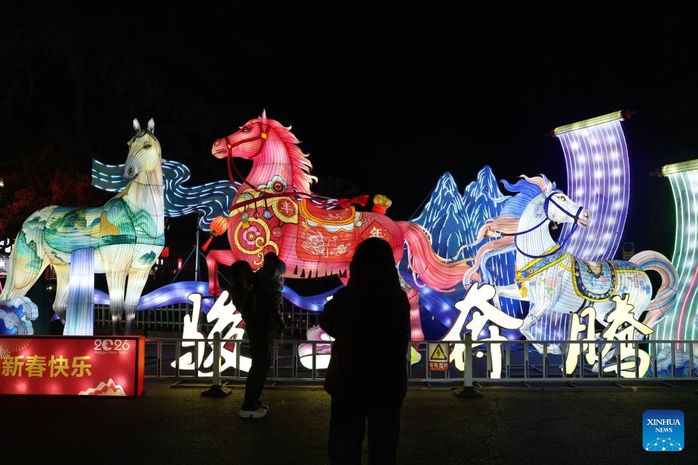 Thế giới tưng bừng đón giao thừa Tết Bính Ngọ - Ảnh 14