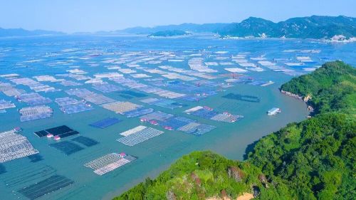 Âm thầm dưới đáy biển, Trung Quốc làm điều liên quan 1,4 triệu người: Chuyện gì đã xảy ra? - Ảnh 2