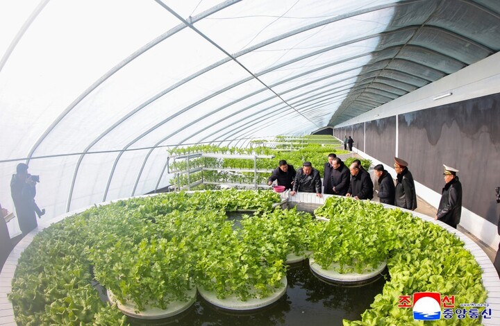 Ảnh hiếm trang trại nhà kính lớn nhất Triều Tiên - Ảnh 7