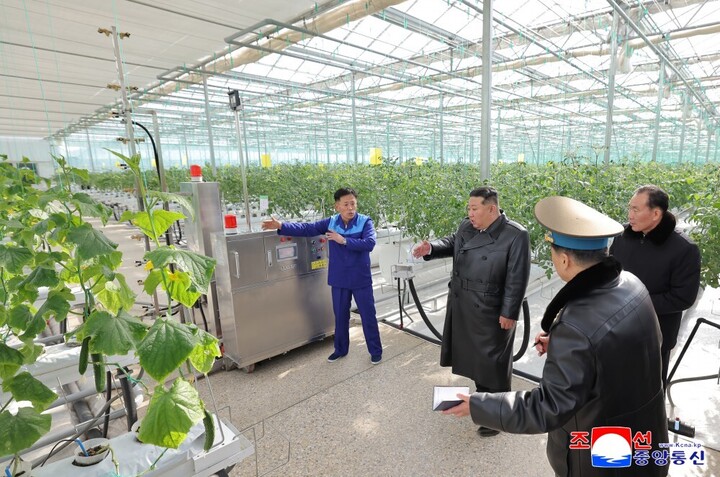 Ảnh hiếm trang trại nhà kính lớn nhất Triều Tiên - Ảnh 9