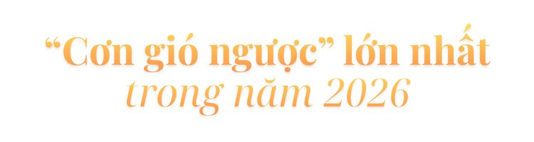 Xuất hiện cú hích mới cho chứng khoán năm 2026, ba nhóm cổ phiếu có dư địa dồi dào để bứt phá - Ảnh 5