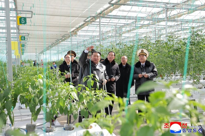 Ảnh hiếm trang trại nhà kính lớn nhất Triều Tiên - Ảnh 10