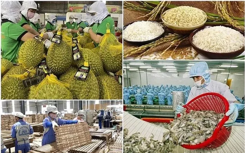 Xuất khẩu nông, lâm, thủy sản tháng 1 tăng gần 30% - Ảnh 1