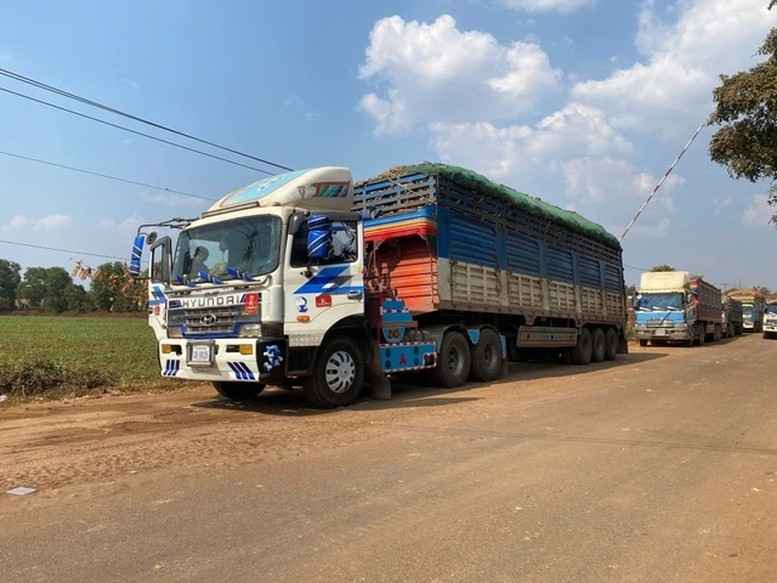 Thủ tướng chỉ đạo 'nóng' về thông quan hàng hóa - Ảnh 1