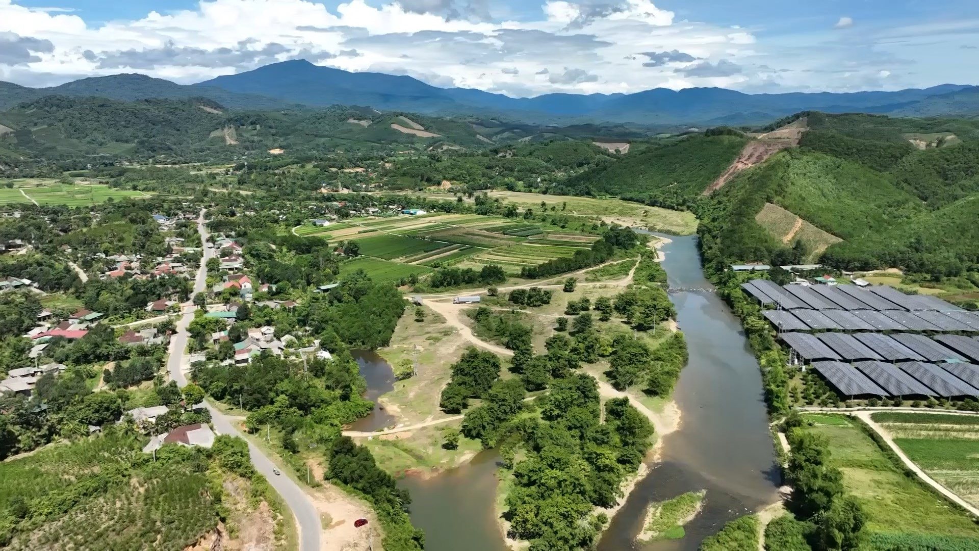 Sau cú trắng tay, chủ trang trại Hà Tĩnh xây 'kho bạc' giữa đồi hoang: Sở hữu 7 vạn gốc 'nhân sâm cho người nghèo' đang chờ bán - Ảnh 2