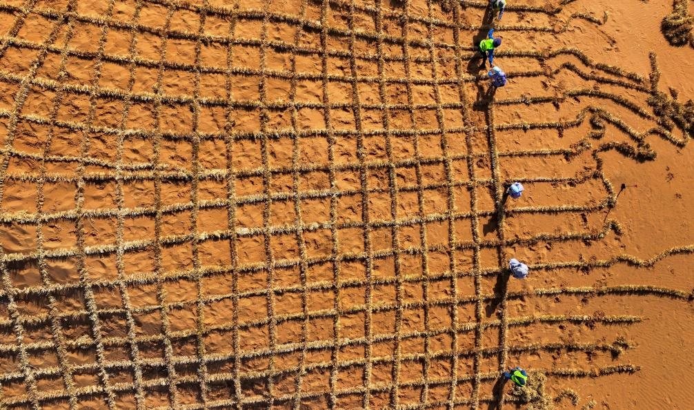 Phát minh chưa từng có trên thế giới của Trung Quốc: biến sa mạc thành đất màu mỡ chỉ trong 10 tháng, hiệu quả cao nhưng chi phí thấp - Ảnh 1
