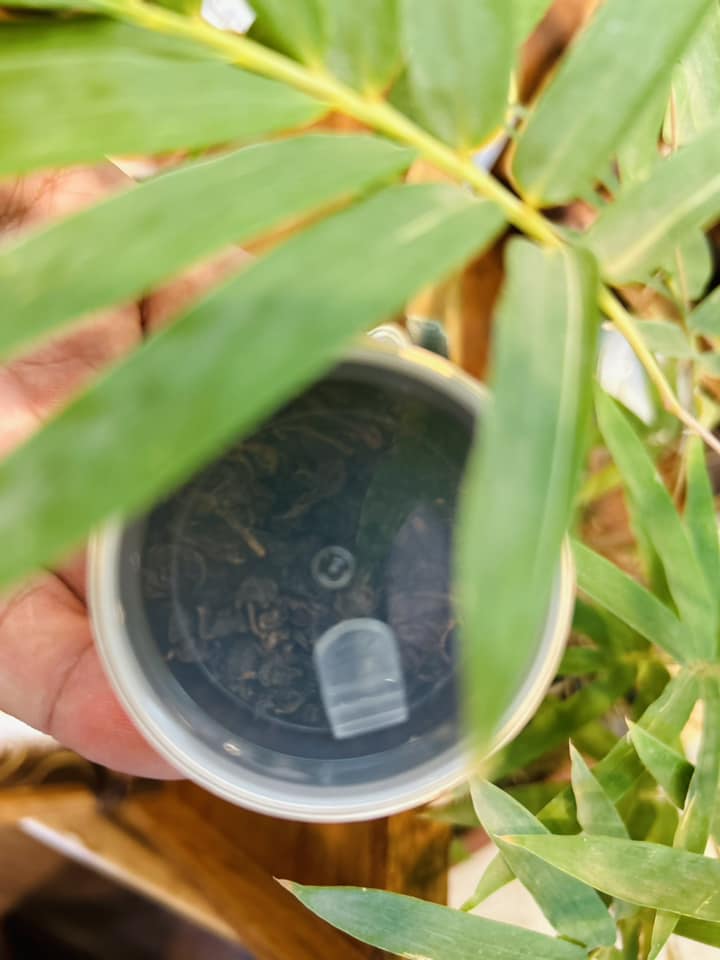 Địa phương miền núi của Việt Nam có chè ngon nức tiếng, giá trên 100 triệu đồng/kg - Ảnh 5