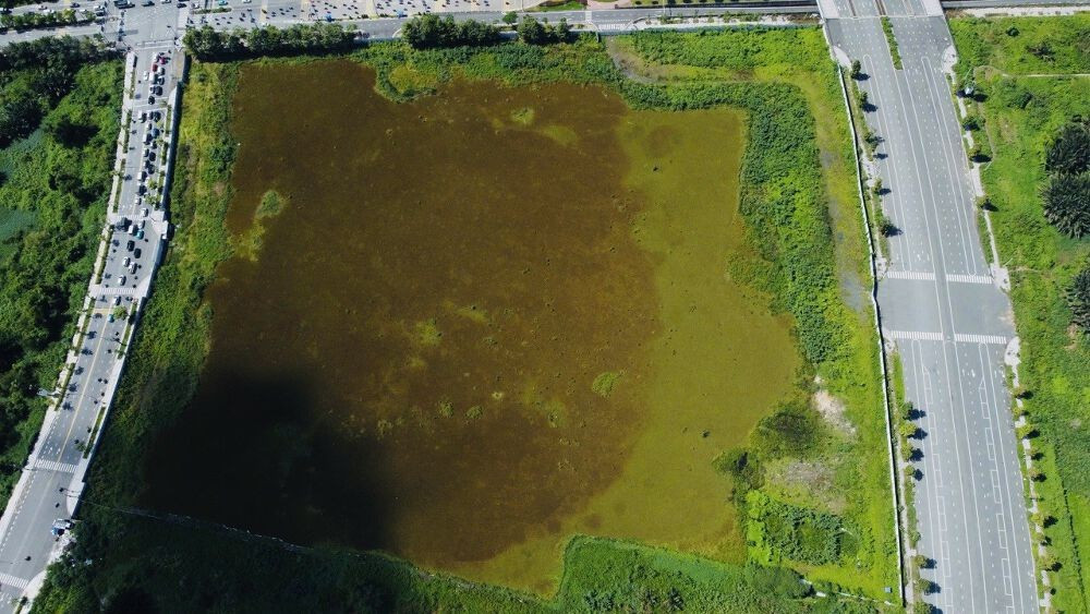 Sau 8 năm bị 'treo', dự án Thủ Thiêm Eco Smart City 'lộ diện' thêm 3 nhà đầu tư mới - Ảnh 1