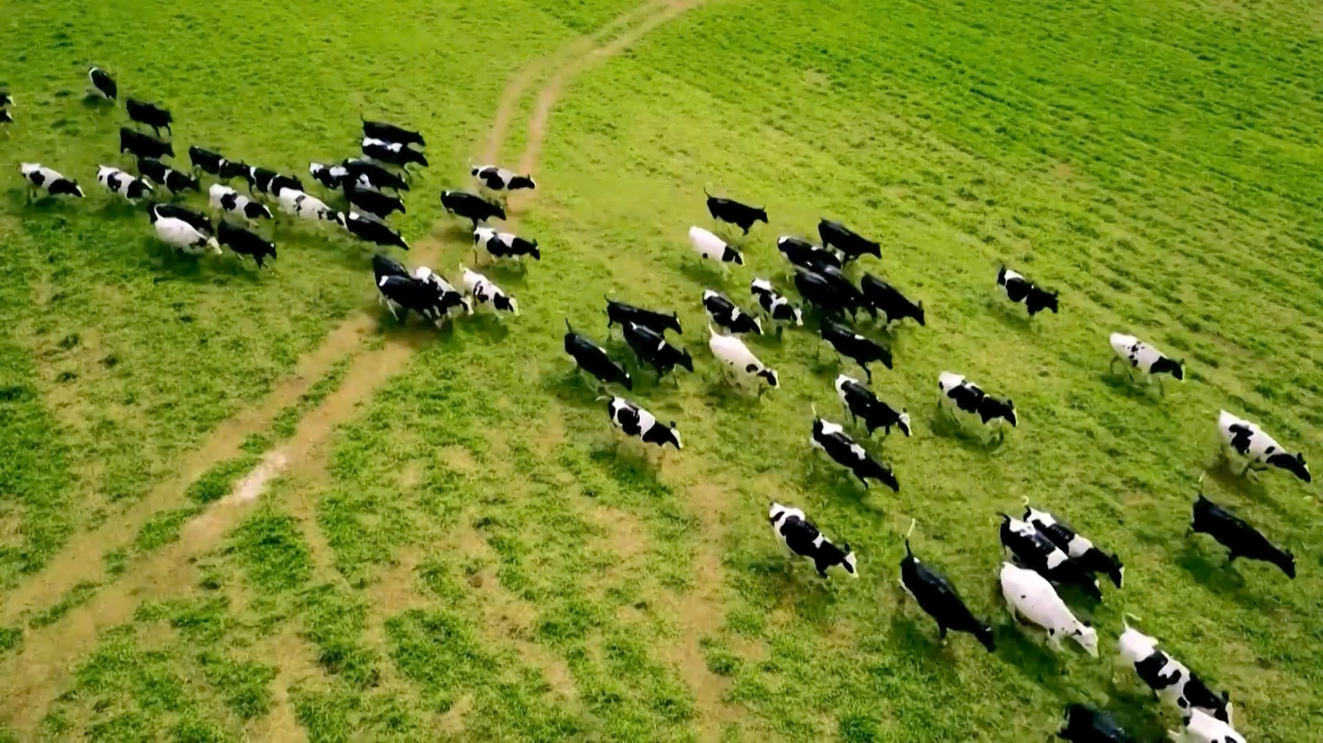 Vị cựu Bộ trưởng nói về DN "thách thức" lý thuyết trời Tây và kỳ tích "Việt Nam xuất khẩu bằng cả châu Phi" - Ảnh 5