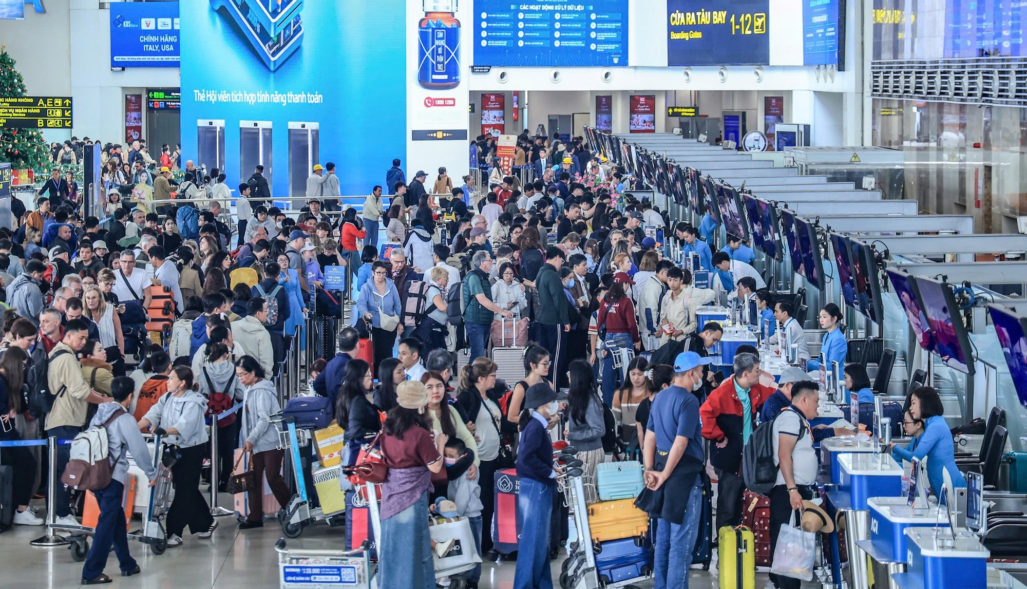 Vé máy bay Tết căng thẳng, hàng không tăng chuyến, thuê thêm 19 máy bay - Ảnh 3