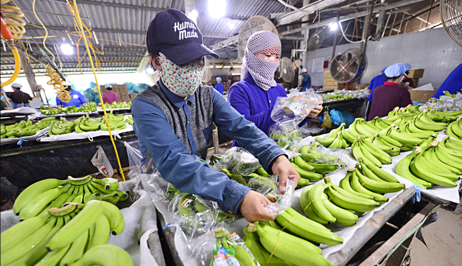 Tạm dừng Nghị định 46, doanh nghiệp vẫn chưa hết lo - Ảnh 1