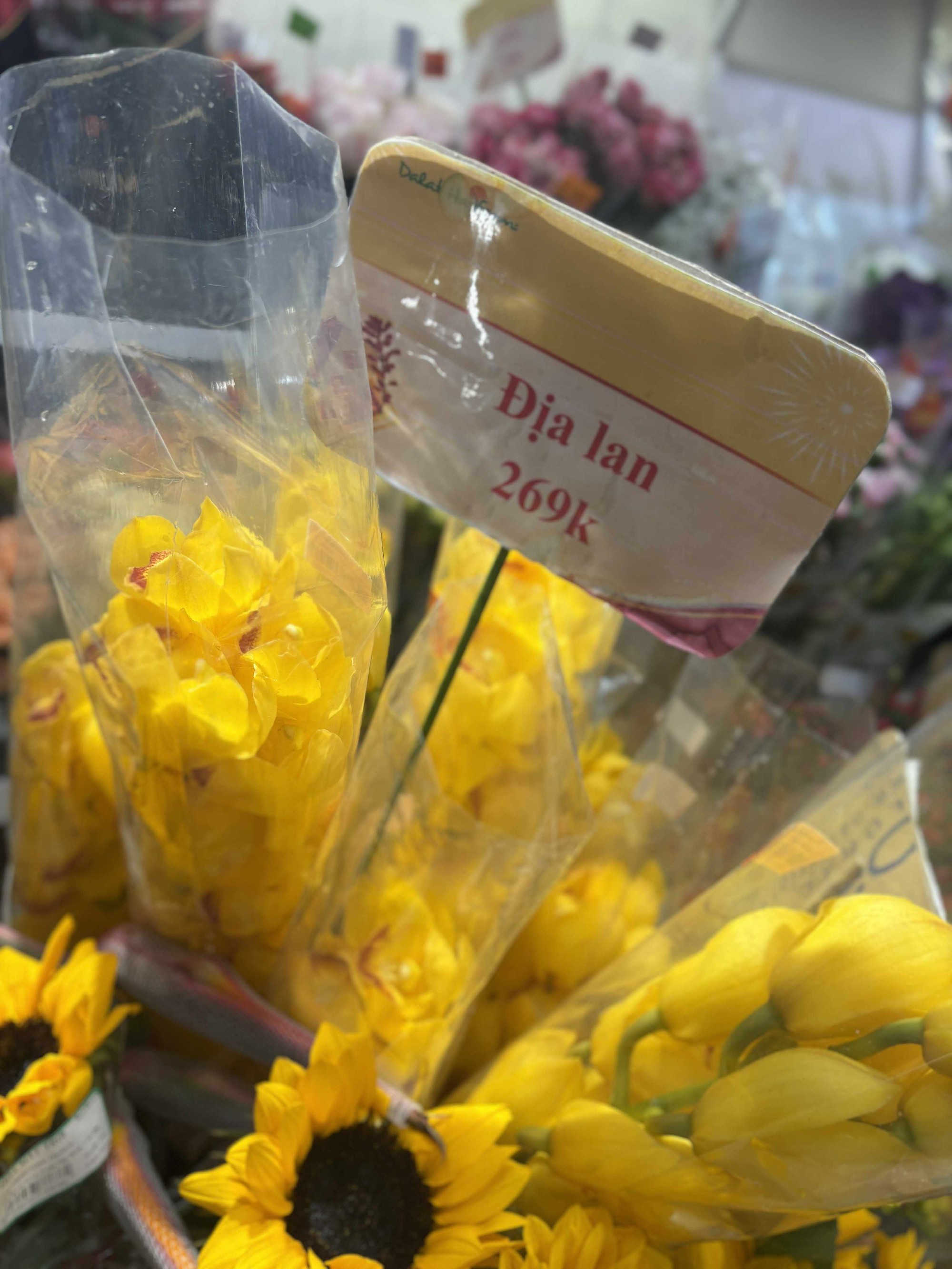 Cập nhật giá cả hoa ngày 28 Tết: Tuyết mai rẻ bất ngờ, cúc đẹp “đỉnh cao”, mộc lan trở thành hot trend - Ảnh 12