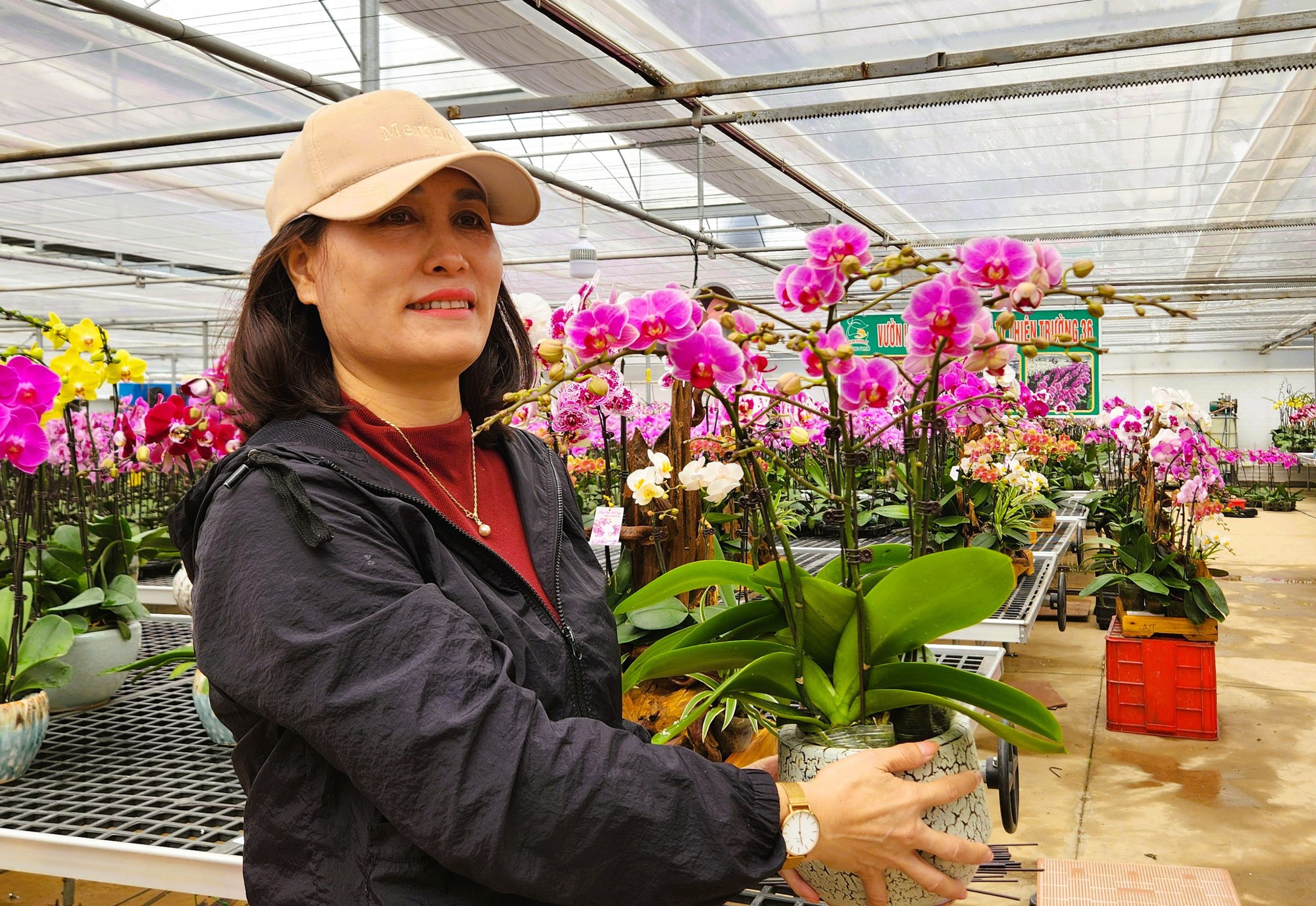 Đầu tư 10 tỉ đồng trồng loài hoa "quý tộc" bán cho người dân chơi Tết - Ảnh 9