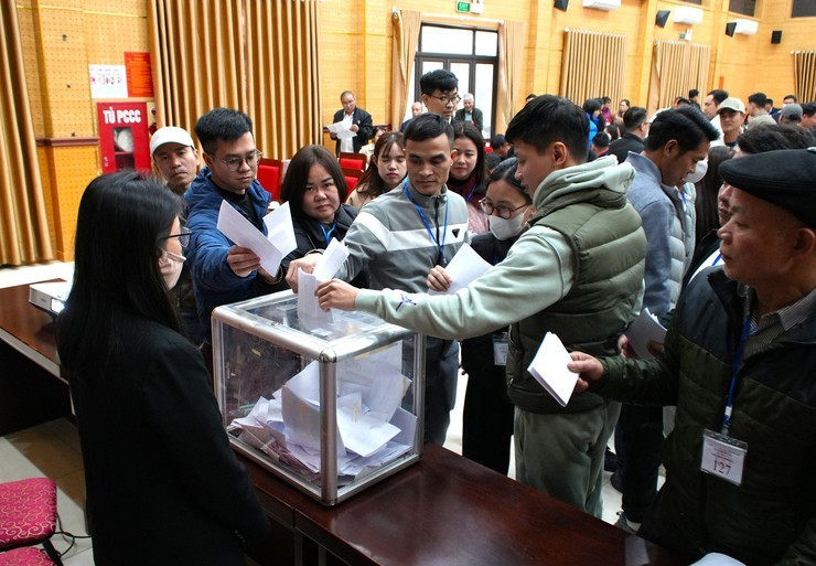 Nâng tiền đặt cọc lên 50%, đất đấu giá diễn biến ra sao? - Ảnh 1