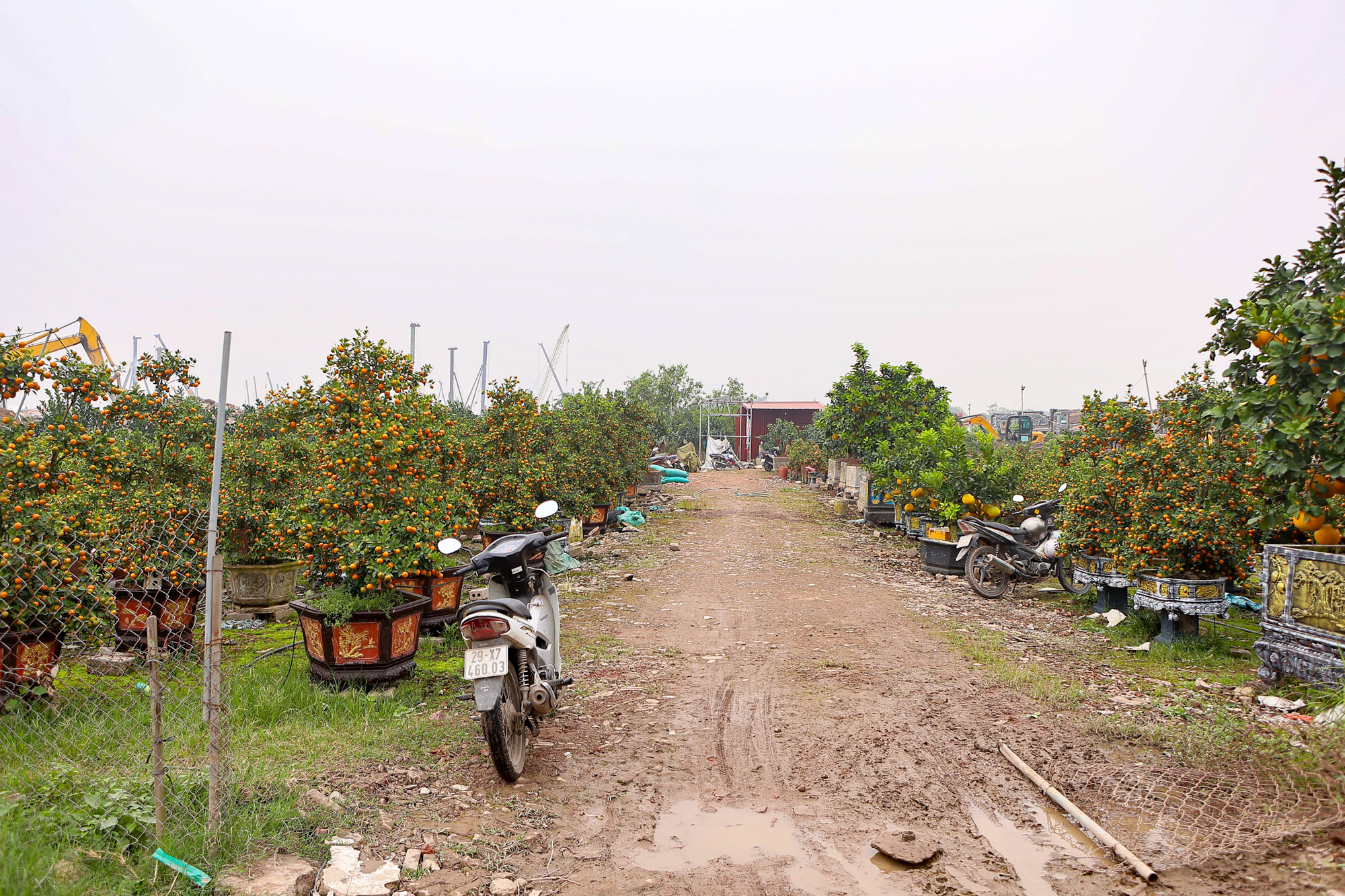 Toàn cảnh công trường sân vận động 60.000 chỗ lớn thứ 2 Việt Nam: Có mặt bằng "sạch" sau 2 tháng, máy móc phủ kín, sắp hoàn thành san lấp - Ảnh 7