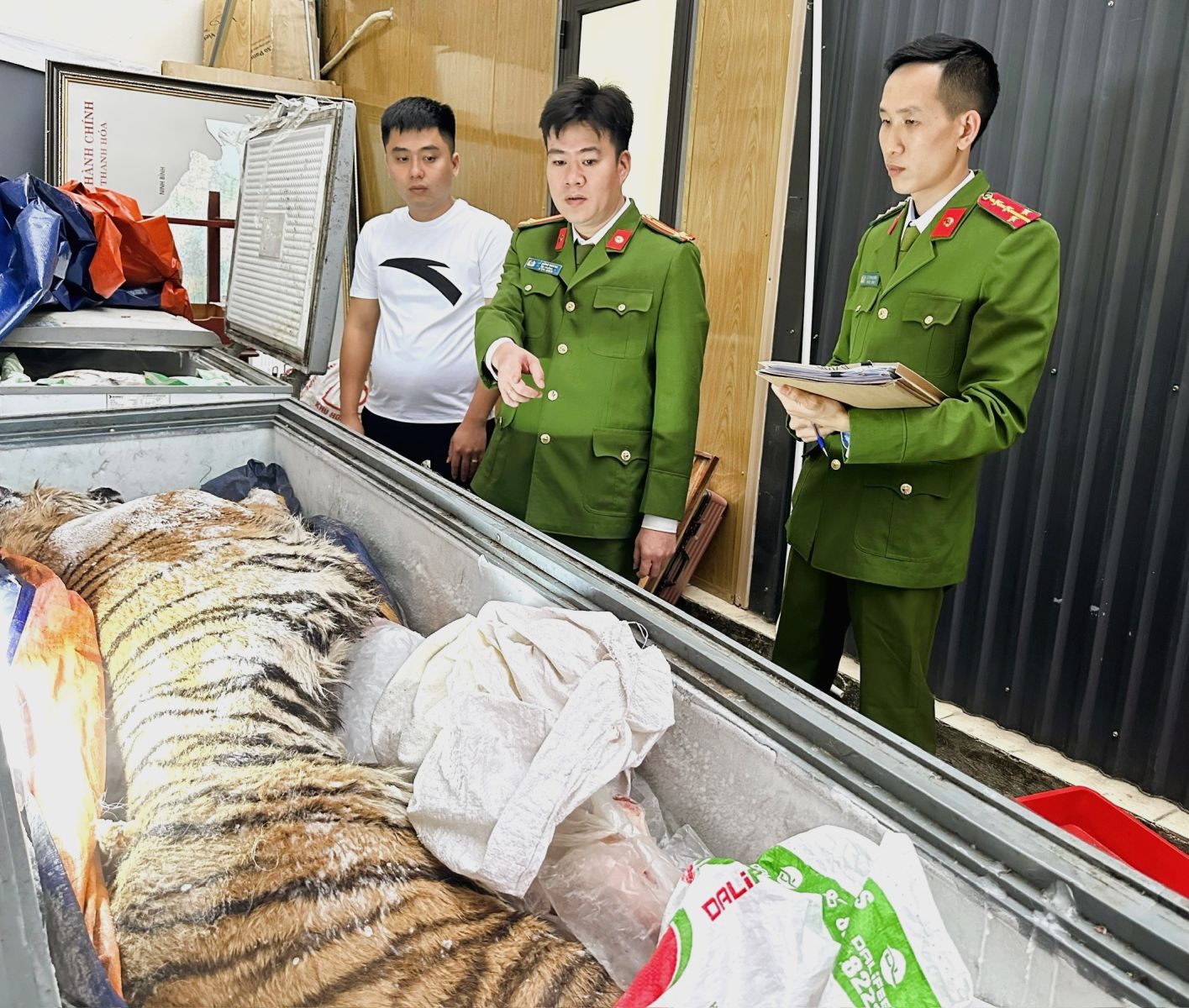 Phát hiện 2 cá thể hổ cấp đông trong hầm một ngôi nhà ở Thanh Hóa: Bí mật sau cánh cửa sắt khiến nhiều người rùng mình - Ảnh 2