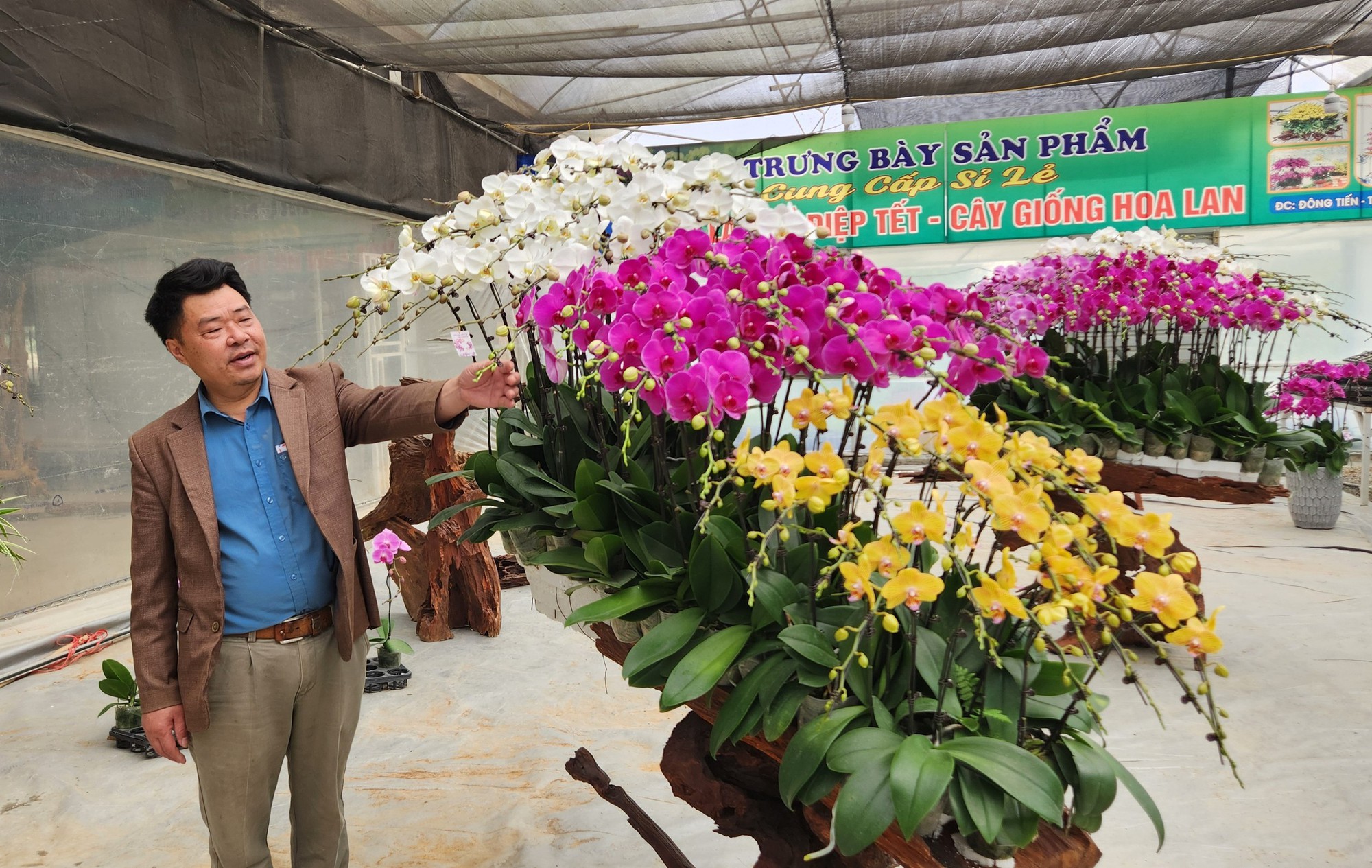 Đầu tư 10 tỉ đồng trồng loài hoa "quý tộc" bán cho người dân chơi Tết - Ảnh 16