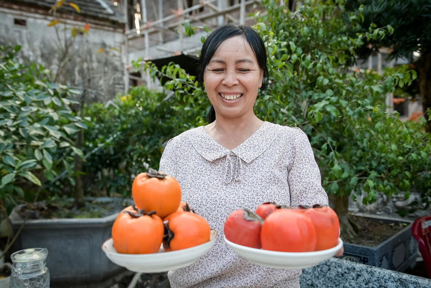 ‘Báu vật’ giữa vườn hồng cổ được trả nửa tỷ nhưng chủ không bán - Ảnh 2