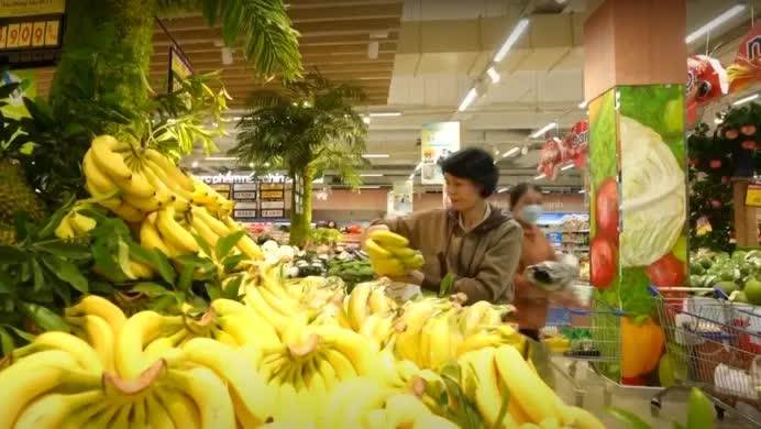 Chuối Tiến Vua khan hiếm do thời tiết, sản lượng giảm mạnh - Ảnh 1