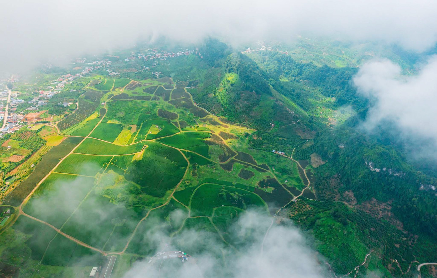 Mê mẩn đồi chè Mộc Châu mùa xuân - Ảnh 1