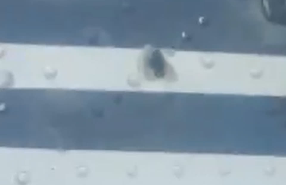 Indonesia: Cơ trưởng và cơ phó bị bắn tử vong ngay sau khi máy bay hạ cánh, hành khách hoảng loạn tháo chạy thoát thân - Ảnh 2