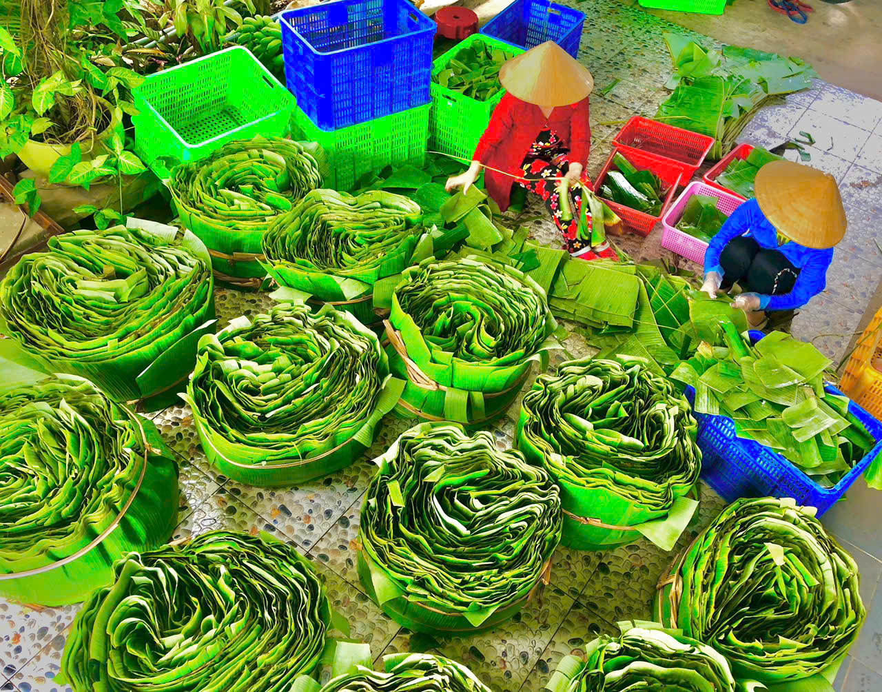 “Vương quốc” nem Lai Vung chạy đua với Tết - Ảnh 10