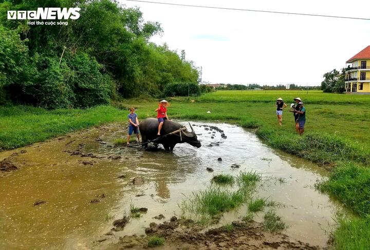 Khám phá ngôi làng Việt lọt top đẹp nhất thế giới - Ảnh 8