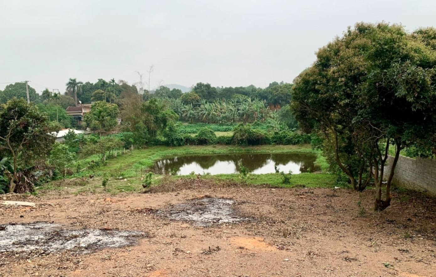 Bộ NN&MT phản hồi về việc xin “lên thổ cư” 500m2 đất vườn mua giấy tờ xã từ năm 1995 - Ảnh 1