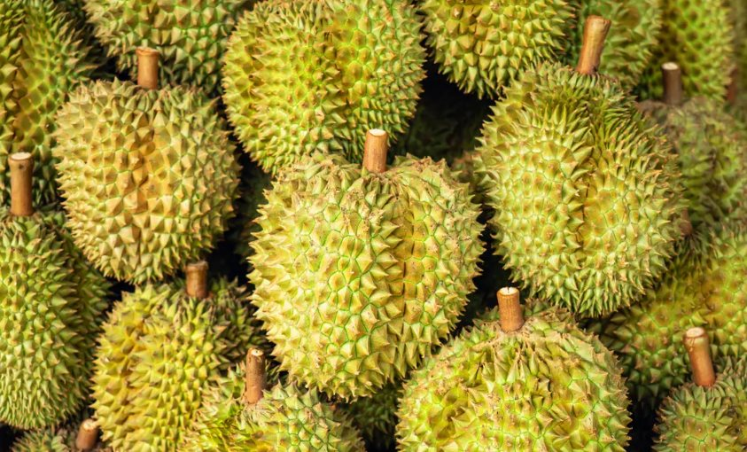 Giá sầu riêng Việt Nam lập đỉnh trong 3 năm, chuyện gì đang xảy ra? - Ảnh 1