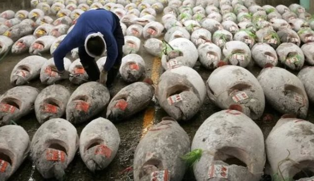 Việt Nam đón tin vui từ Mỹ - Ảnh 1