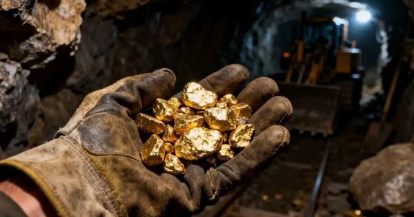 Dân "ôm" vàng lỗ 20 triệu/lượng, cổ đông công ty khai thác vàng lớn nhất Việt Nam lãi gấp 2,3 lần nhờ báo lợi nhuận kỷ lục gần 2.000 tỷ