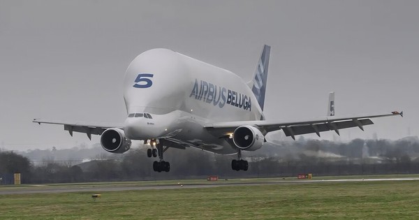 Airbus BelugaST-5: ‘Cá voi trắng’ của bầu trời chính thức nghỉ hưu