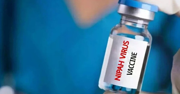 Virus tử thần có tỷ lệ tử vong tới 75% sắp có “lá chắn”: Nhật Bản thử nghiệm vaccine Nipah, cả châu Á nâng cảnh giác