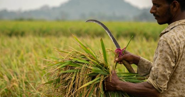 Tin buồn với Thái Lan, Việt Nam: Một quốc gia Đông Nam Á cấm nhập khẩu 12 mặt hàng từ 2026 - gạo, đường, bị ảnh hưởng