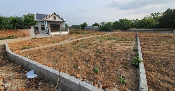 Hơn 90m2 đất vườn không gắn liền đất ở khi chuyển sang thổ cư người dân đóng thuế 100% hay được giảm theo Nghị quyết mới?