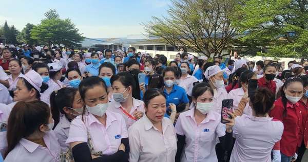 Vụ Công ty TNHH Panko Vina ngưng hoạt động: LĐLĐ TPHCM hỗ trợ mỗi công nhân 1 triệu đồng