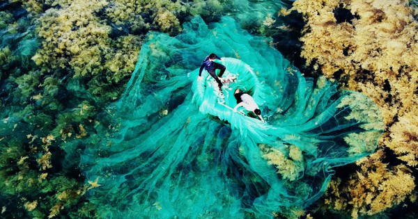 Việt Nam có "mỏ vàng dưới nước", mang về gần 900 triệu USD trong tháng 1: Trung Quốc, Nhật Bản ồ ạt mua