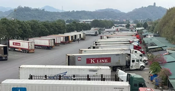 Thủ tướng chỉ đạo 'nóng' về thông quan hàng hóa