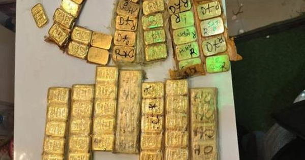 Đột kích hàng loạt kho hàng vận tải, tịch thu 29 kg vàng xếp đống trị giá 140 tỷ đồng và 8,7 tỷ tiền mặt có dấu hiệu lạ