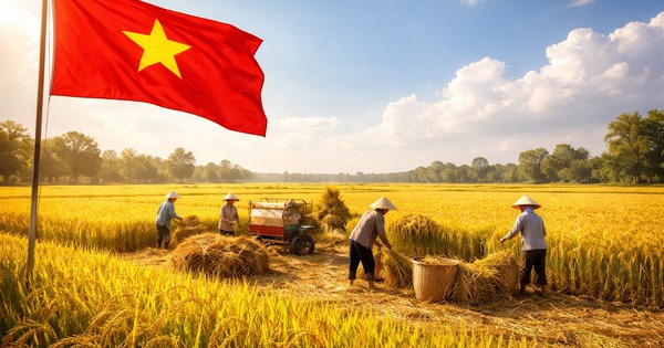 3 lần được vinh danh số 1 thế giới: "Vàng trắng" của Việt Nam khiến loạt quốc gia mê mẩn