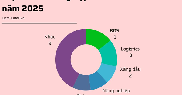 20 doanh nghiệp lỗ trước thuế lớn nhất năm 2025: HAGL Agrico lỗ gần 1.000 tỷ, bất động sản, logistics chiếm sóng