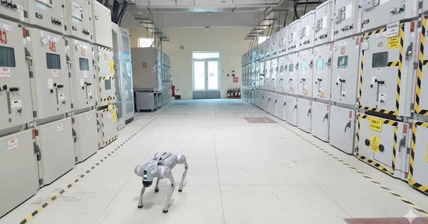 Phát hiện "mắt thần" tại trạm biến áp của EVNHANOI: Không cần con người vẫn có thể đọc rơle, truy tìm lỗi