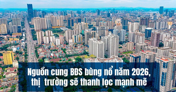 BHS R&D: Năm 2026, nguồn cung chung cư ồ ạt đổ bộ, giá chạm đỉnh rồi "đứng im"…nhà đầu tư nên làm gì?