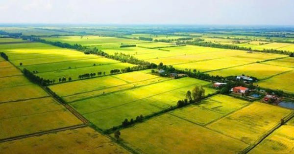 Cách tính tiền sử dụng đất khi chuyển sang đất ở theo quy định mới