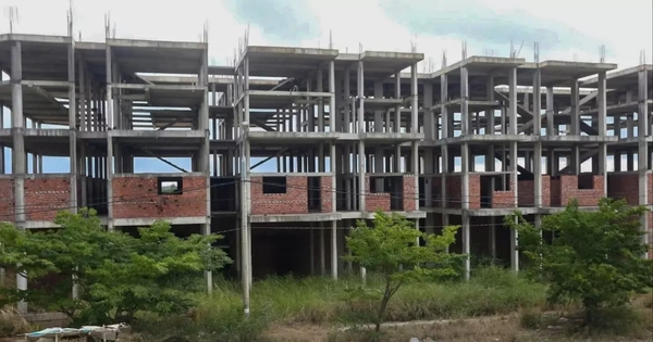 Dự án nhà ở xã hội hơn 700 tỷ đồng bị bỏ hoang
